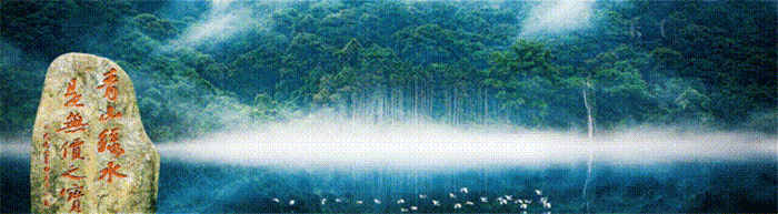 1755176903806311.gif